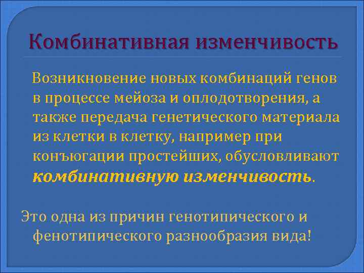 Комбинативная изменчивость. Комбинативная изменчивость обусловлена. Комбинативная изменчивость конъюгация. Виды комбинативной изменчивости.