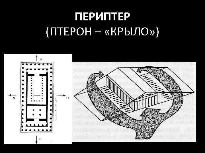 ПЕРИПТЕР (ПТЕРОН – «КРЫЛО» ) 