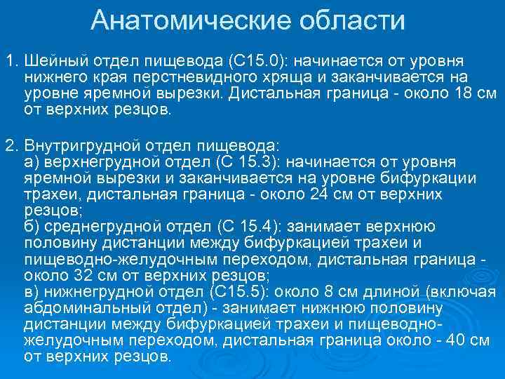 Анатомические области 1. Шейный отдел пищевода (С 15. 0): начинается от уровня нижнего края