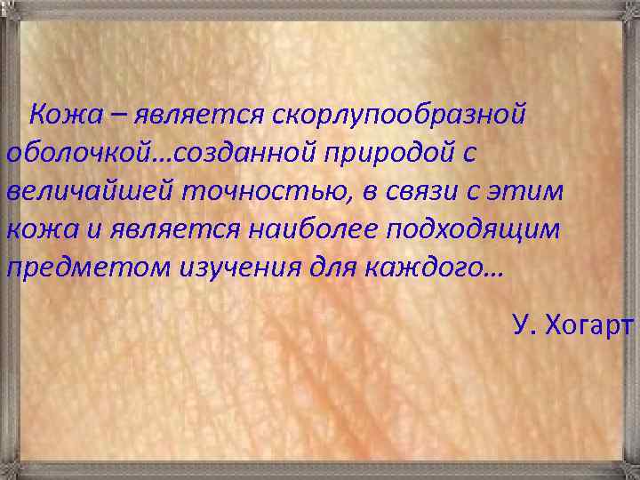 Кожа – является скорлупообразной оболочкой…созданной природой с величайшей точностью, в связи с этим кожа