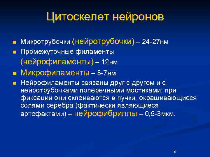 Цитоскелет нейронов n Микротрубочки (нейротрубочки) – 24 -27 нм Промежуточные филаменты (нейрофиламенты) – 12