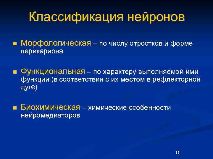 Классификация нейронов n Морфологическая – по числу отростков и форме перикариона n Функциональная –