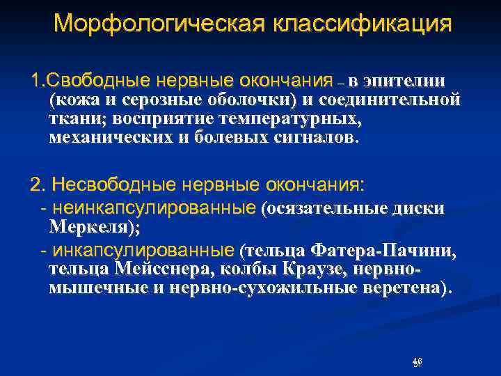 Функции окончания. Классификация чувствительных нервных окончаний. Функциональная классификация нервных окончаний. Свободные и несвободные нервные окончания. Несвободные неинкапсулированные нервные окончания.