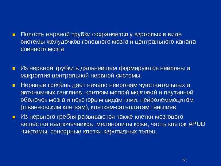 n Полость нервной трубки сохраняется у взрослых в виде системы желудочков головного мозга и