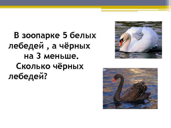 В зоопарке 5 белых лебедей , а чёрных на 3 меньше. Сколько чёрных лебедей?