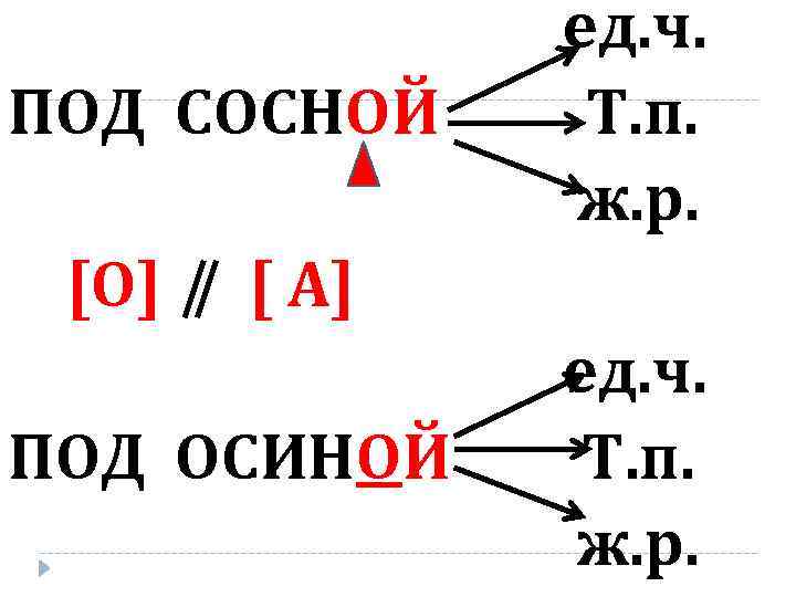ПОД СОСНОЙ [О] ед. ч. Т. п. ж. р. [ А] ПОД ОСИНОЙ ед.