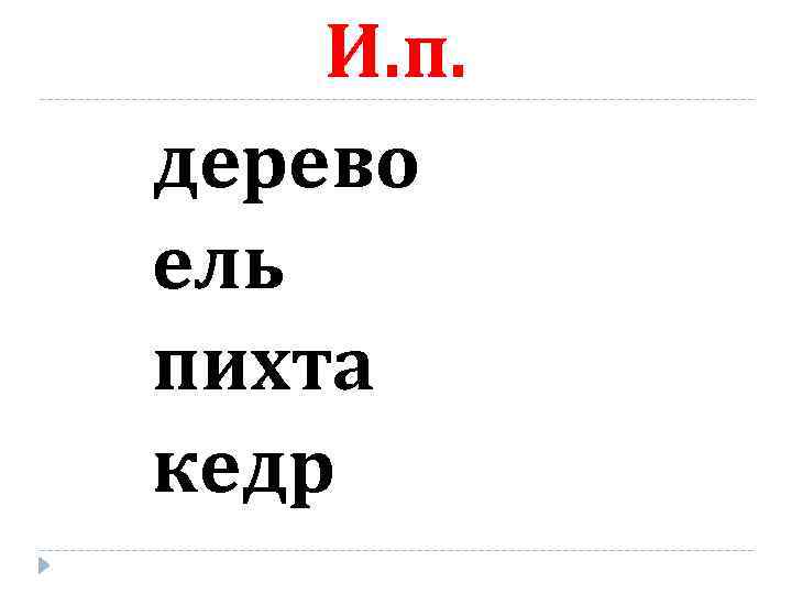И. п. дерево ель пихта кедр 