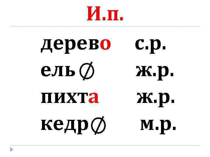 И. п. дерево ель пихта кедр с. р. ж. р. м. р. 