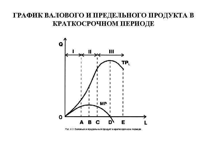 ГРАФИК ВАЛОВОГО И ПРЕДЕЛЬНОГО ПРОДУКТА В КРАТКОСРОЧНОМ ПЕРИОДЕ 