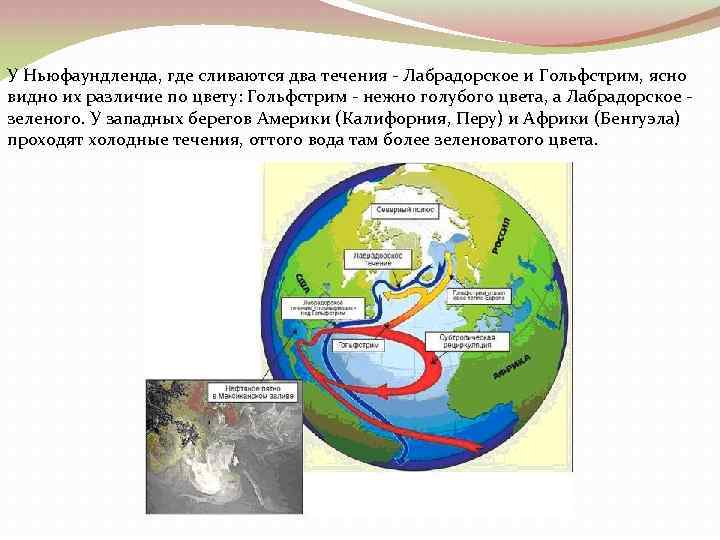 У Ньюфаундленда, где сливаются два течения - Лабрадорское и Гольфстрим, ясно видно их различие