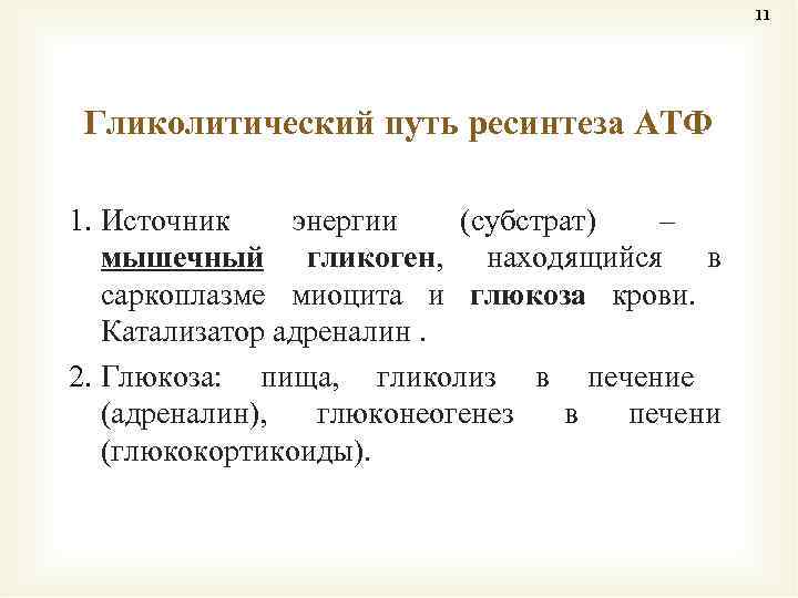 11 Гликолитический путь ресинтеза АТФ 1. Источник энергии (субстрат) – мышечный гликоген, находящийся в