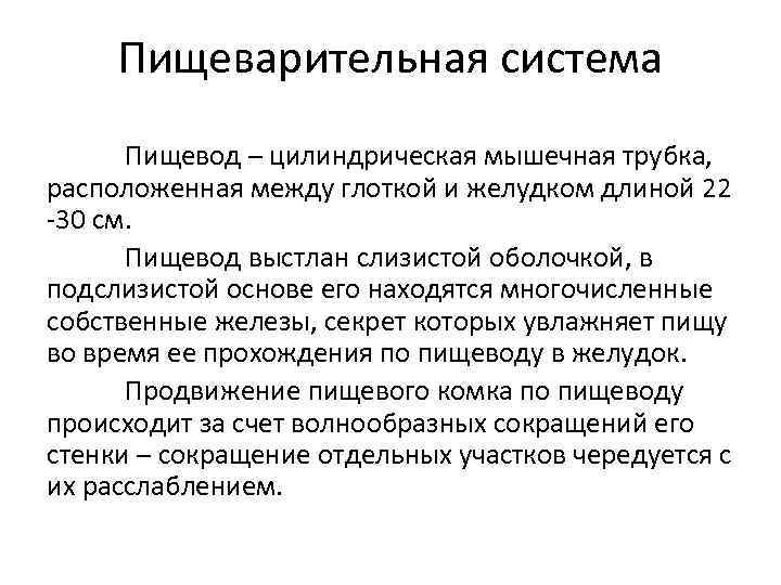Пищеварительная система Пищевод – цилиндрическая мышечная трубка, расположенная между глоткой и желудком длиной 22
