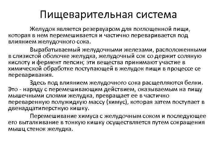 Пищеварительная система Желудок является резервуаром для поглощенной пищи, которая в нем перемешивается и частично