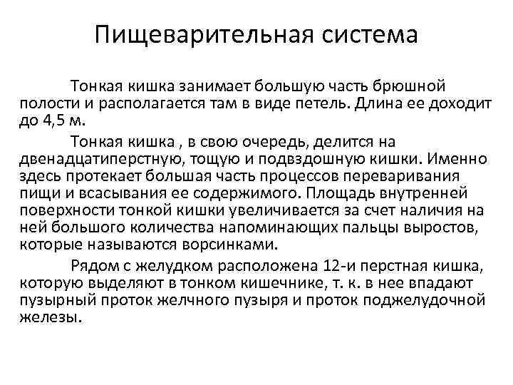 Пищеварительная система Тонкая кишка занимает большую часть брюшной полости и располагается там в виде