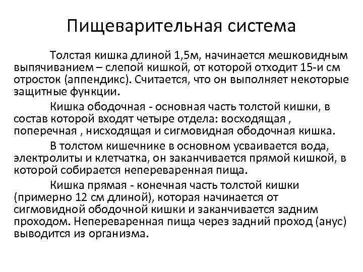 Пищеварительная система Толстая кишка длиной 1, 5 м, начинается мешковидным выпячиванием – слепой кишкой,