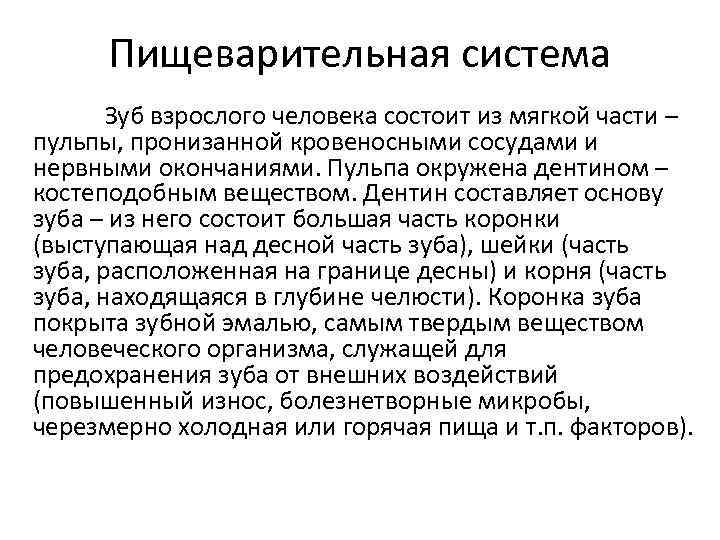 Пищеварительная система Зуб взрослого человека состоит из мягкой части – пульпы, пронизанной кровеносными сосудами