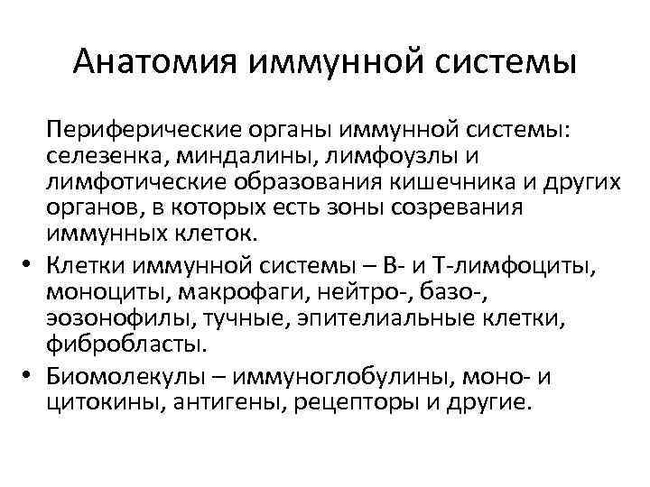 Анатомия иммунной системы Периферические органы иммунной системы: селезенка, миндалины, лимфоузлы и лимфотические образования кишечника