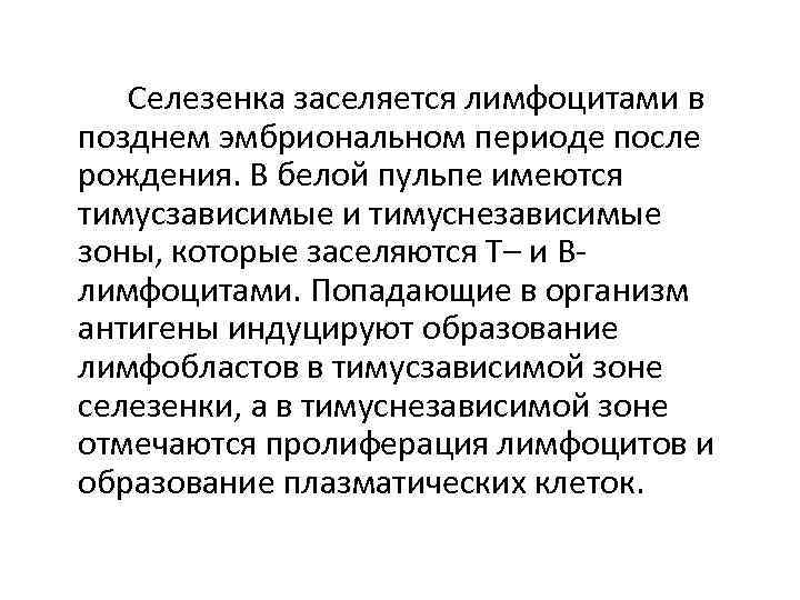 Селезенка заселяется лимфоцитами в позднем эмбриональном периоде после рождения. В белой пульпе имеются тимусзависимые