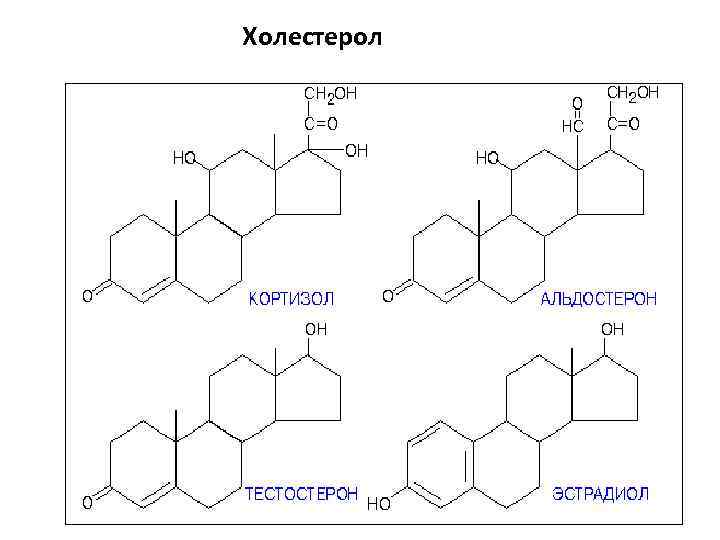 Холестерол 