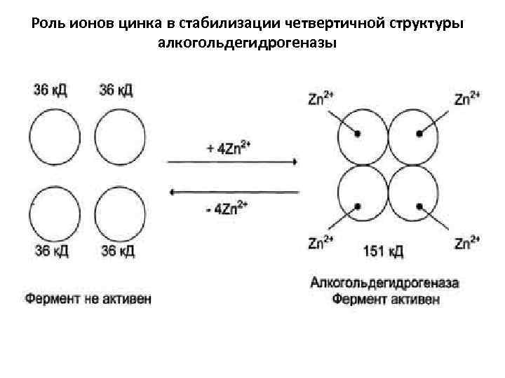 Схема строения отрицательного иона