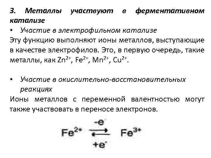 3. Металлы участвуют в ферментативном катализе • Участие в электрофильном катализе Эту функцию выполняют