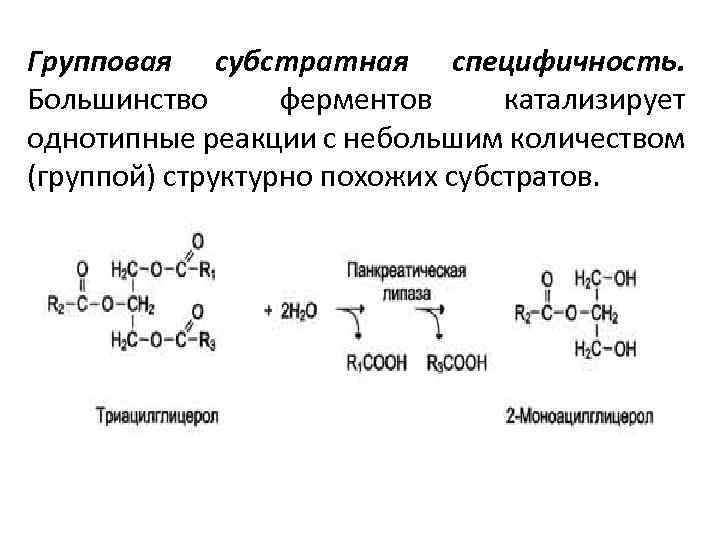 Ферментами являются соединения