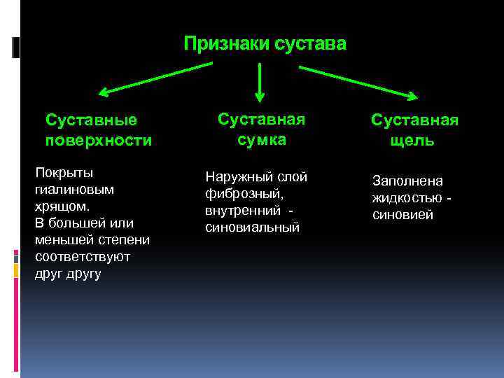 Признаки сустава Суставные поверхности Суставная сумка Покрыты гиалиновым хрящом. В большей или меньшей степени