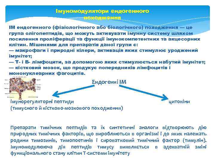 Імуномодулятори ендогенного походження ІМ ендогенного (фізіологічного або біологічного) походження — це група олігопептидів, що
