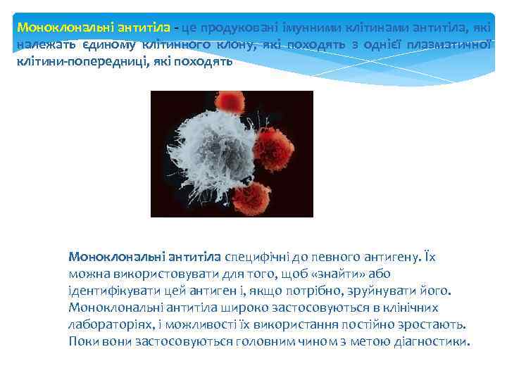 Моноклональні антитіла - це продуковані імунними клітинами антитіла, які належать єдиному клітинного клону, які