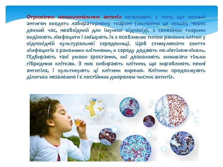 Отримання моноклональних антитіл починають з того, що певний антиген вводять лабораторному тварині (звичайно це