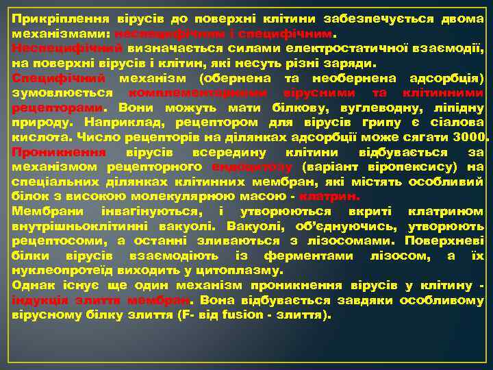 Прикріплення вірусів до поверхні клітини забезпечується двома механізмами: неспецифічним і специфічним. Неспецифічний визначається силами