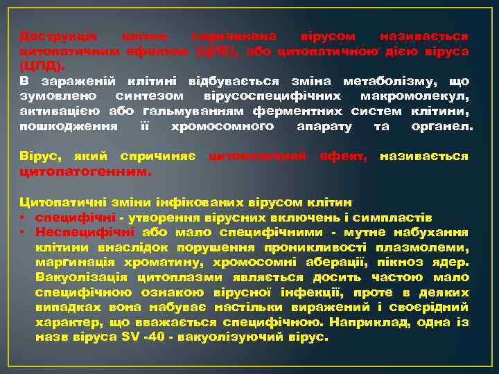 Деструкція клітин спричинена вірусом називається цитопатичним ефектом (ЦПЕ), або цитопатичною дією віруса (ЦПД). В