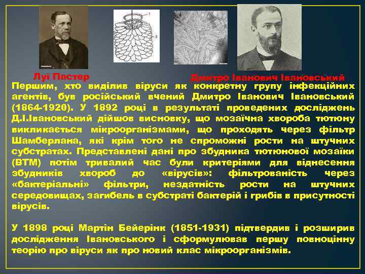 Луї Пастер Дмитро Іванович Івановський Першим, хто виділив віруси як конкретну групу інфекційних агентів,