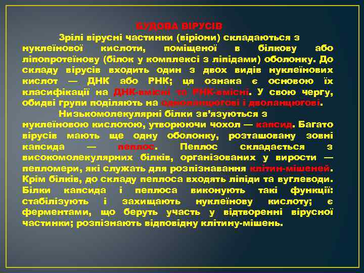 БУДОВА ВІРУСІВ Зрілі вірусні частинки (віріони) складаються з нуклеїнової кислоти, поміщеної в білкову або