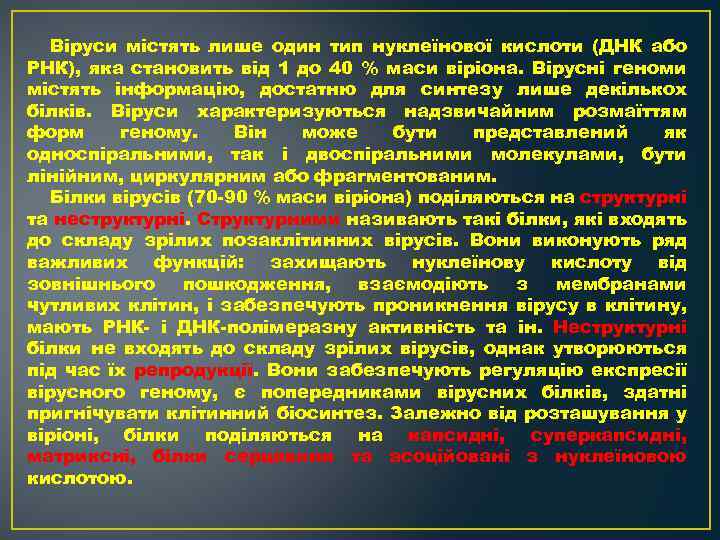 Віруси містять лише один тип нуклеїнової кислоти (ДНК або РНК), яка становить від 1