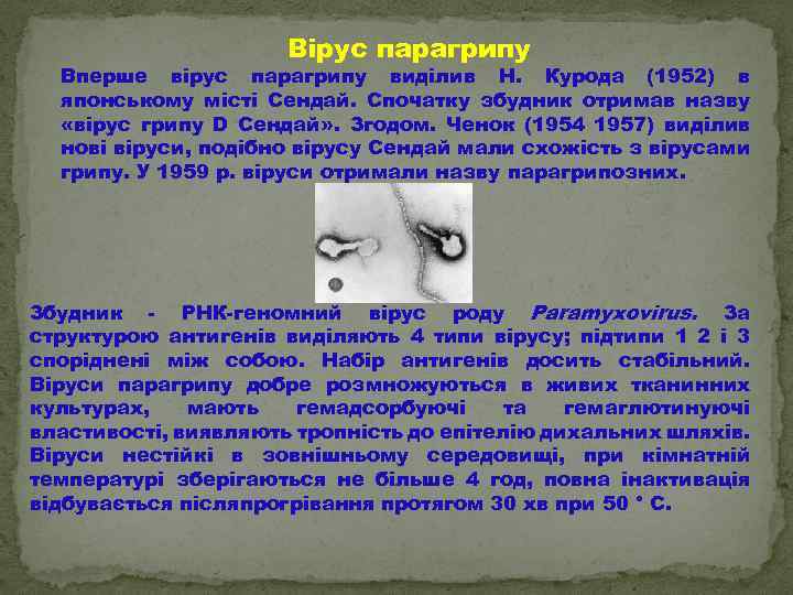 Вірус парагрипу Вперше вірус парагрипу виділив Н. Курода (1952) в японському місті Сендай. Спочатку