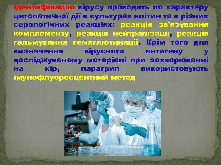 Ідентифікацію вірусу проводять по характеру цитопатичної дії в культурах клітин та в різних серологічних