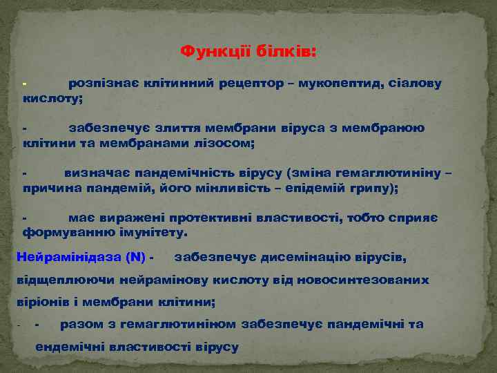 Функції білків: розпізнає клітинний рецептор – мукопептид, сіалову кислоту; забезпечує злиття мембрани віруса з