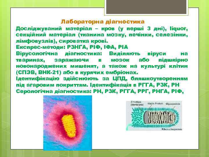 Лабораторна діагностика Досліджуваний матеріал – кров (у перші 3 дні), liquor, секційний матеріал (тканина