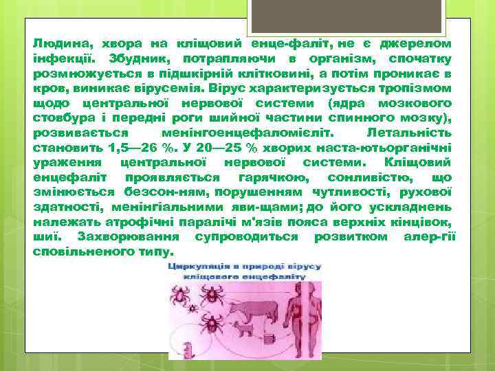 Людина, хвора на кліщовий енце фаліт, не є джерелом інфекції. Збудник, потрапляючи в організм,