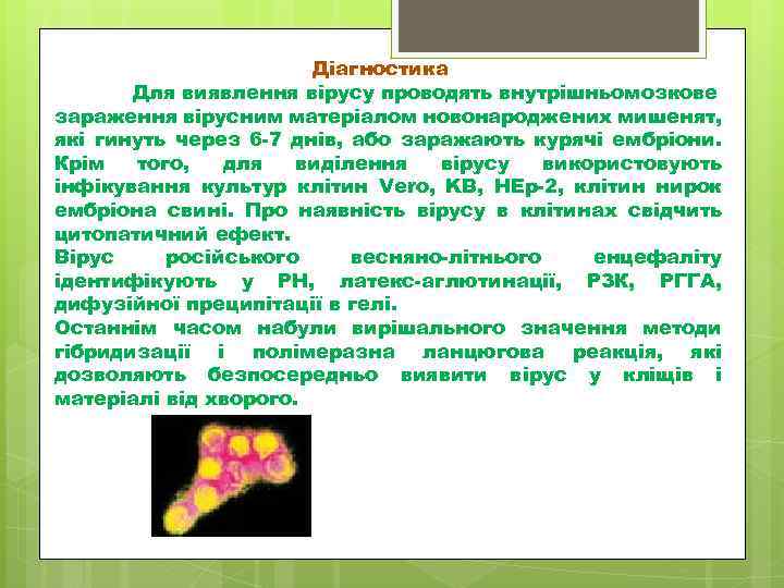 Діагностика Для виявлення вірусу проводять внутрішньомозкове зараження вірусним матеріалом новонароджених мишенят, які гинуть через