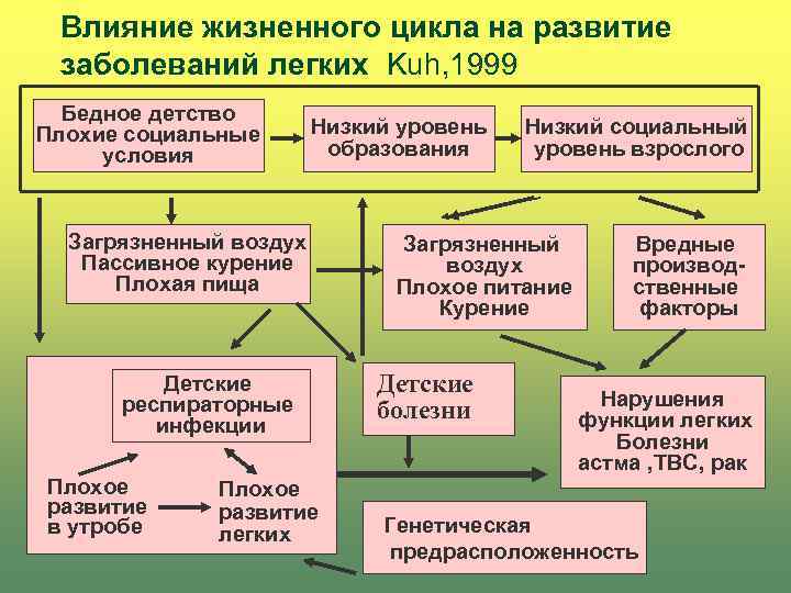 Влияние жизненного цикла на развитие заболеваний легких Kuh, 1999 Бедное детство Плохие социальные условия