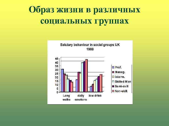 Образ жизни в различных социальных группах 