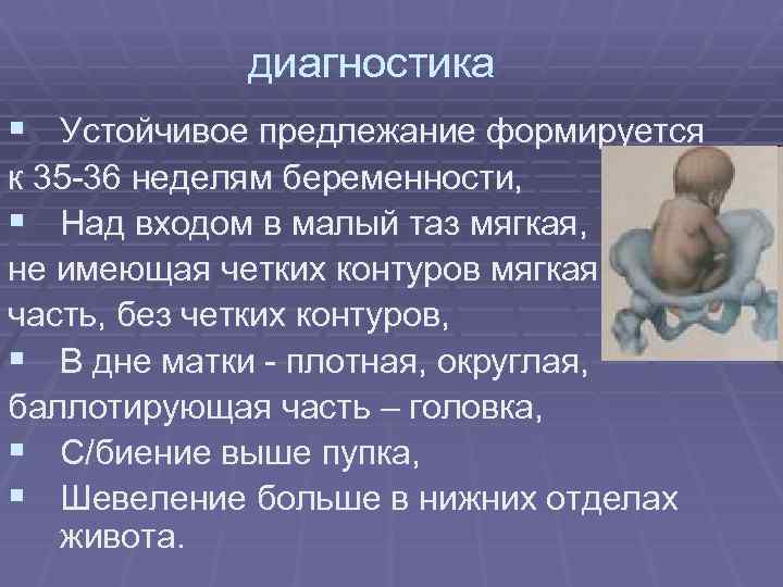 диагностика § Устойчивое предлежание формируется к 35 -36 неделям беременности, § Над входом в