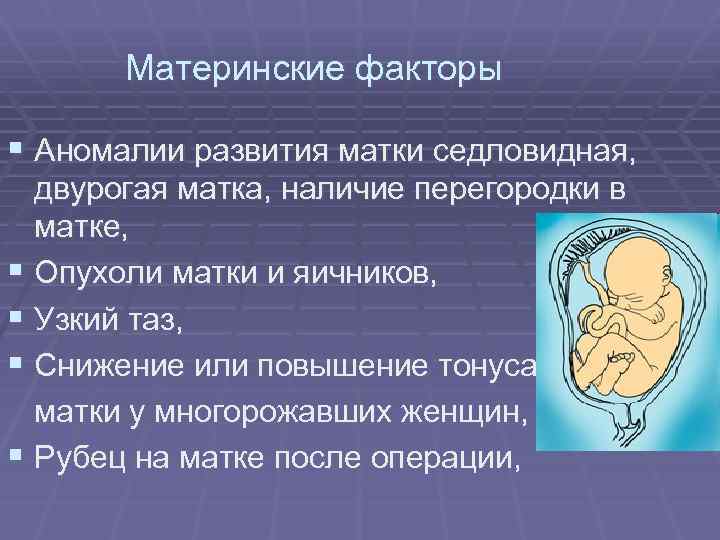 Материнские факторы § Аномалии развития матки седловидная, двурогая матка, наличие перегородки в матке, §