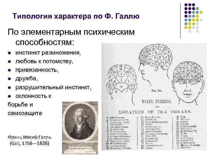 Типология характера по Ф. Галлю По элементарным психическим способностям: инстинкт размножения, l любовь к