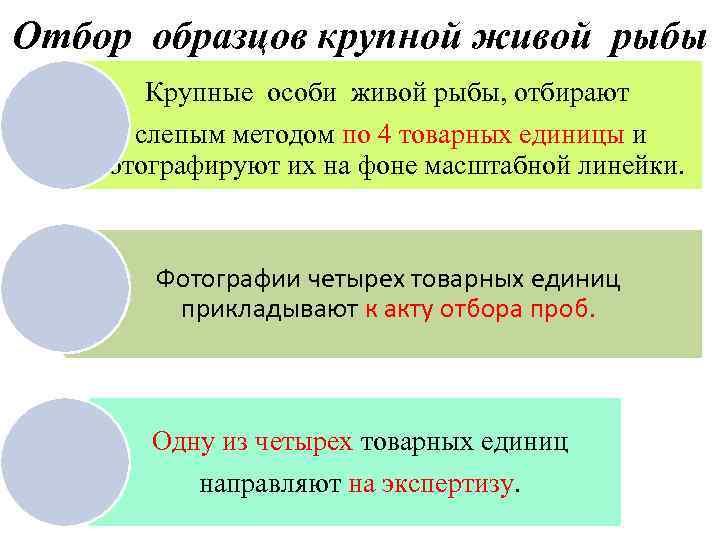 Отбор образцов крупной живой рыбы Крупные особи живой рыбы, отбирают слепым методом по 4
