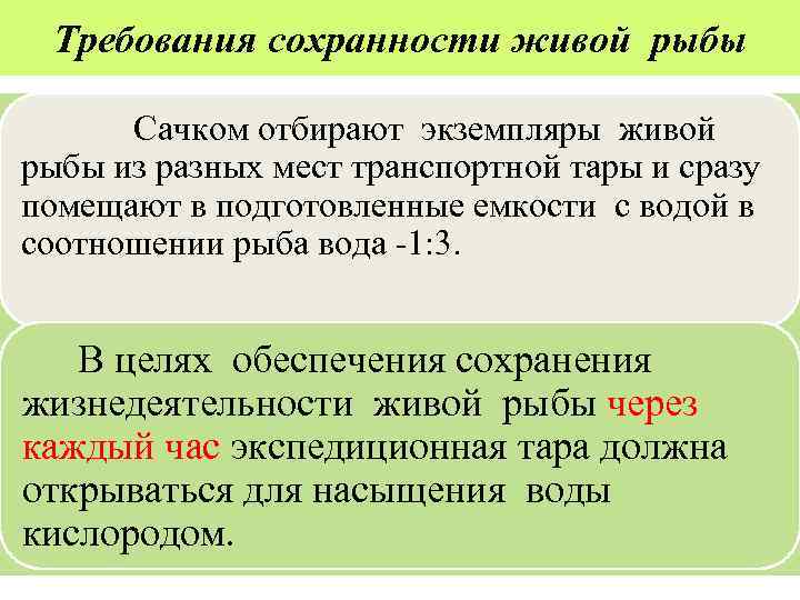 Требования сохранности живой рыбы Сачком отбирают экземпляры живой рыбы из разных мест транспортной тары