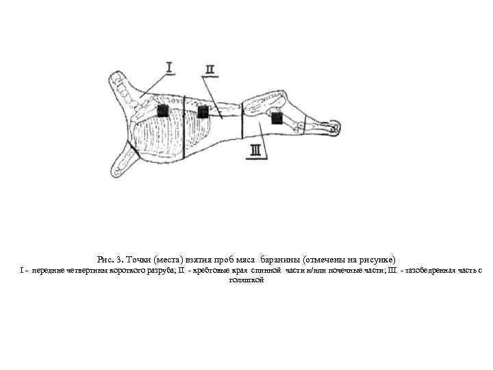 Рис. 3. Точки (места) взятия проб мяса баранины (отмечены на рисунке) I - передние