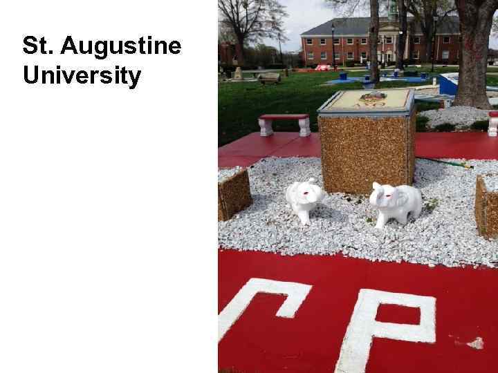 St. Augustine University 